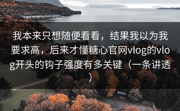 我本来只想随便看看,结果我以为我要求高,后来才懂糖心官网vlog的vlog开头的钩子强度有多关键(一条讲透) 第1张 我本来只想随便看看,结果我以为我要求高,后来才懂糖心官网vlog的vlog开头的钩子强度有多关键(一条讲透) 第1张