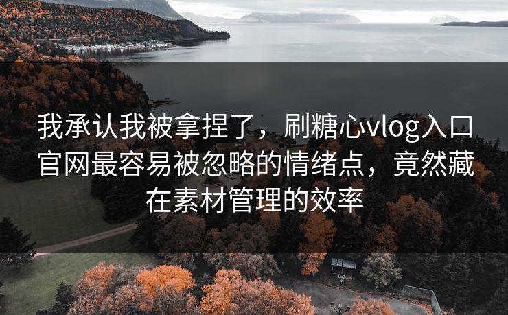 我承认我被拿捏了，刷糖心vlog入口官网最容易被忽略的情绪点，竟然藏在素材管理的效率