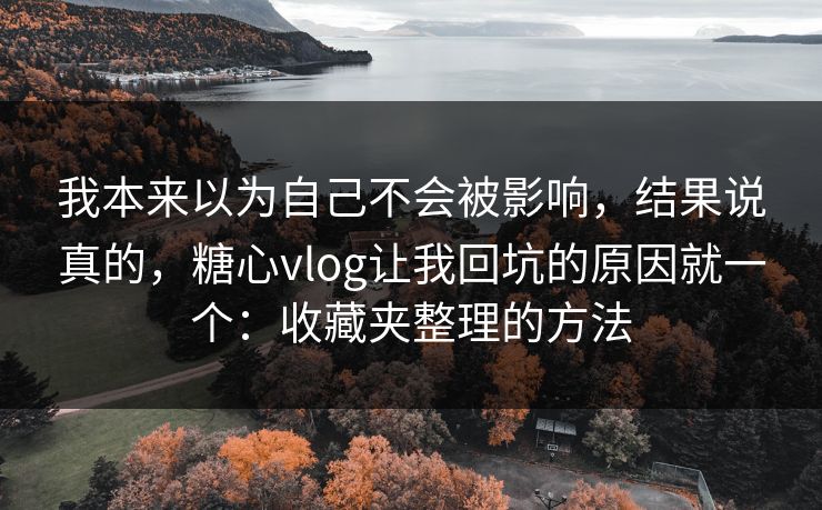 我本来以为自己不会被影响,结果说真的,糖心vlog让我回坑的原因就一个:收藏夹整理的方法 我本来以为自己不会被影响,结果说真的,糖心vlog让我回坑的原因就一个:收藏夹整理的方法