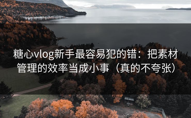 糖心vlog新手最容易犯的错:把素材管理的效率当成小事(真的不夸张) 糖心vlog新手最容易犯的错:把素材管理的效率当成小事(真的不夸张)