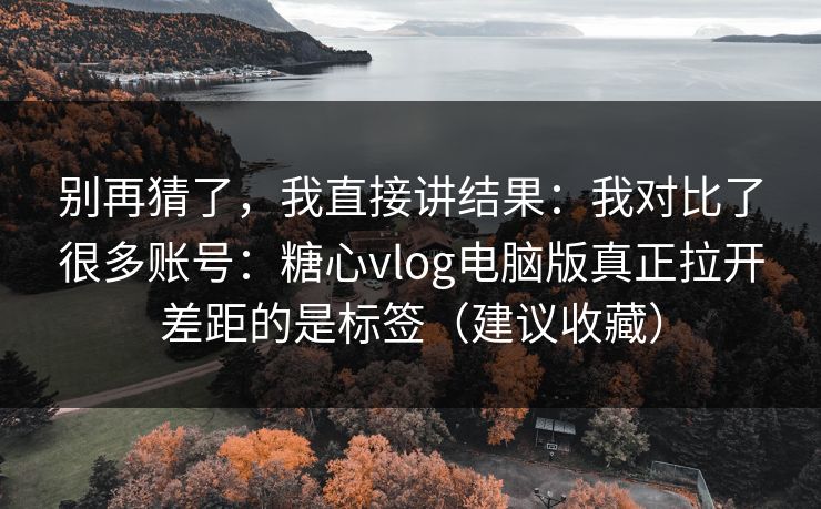 别再猜了，我直接讲结果：我对比了很多账号：糖心vlog电脑版真正拉开差距的是标签（建议收藏）  第1张