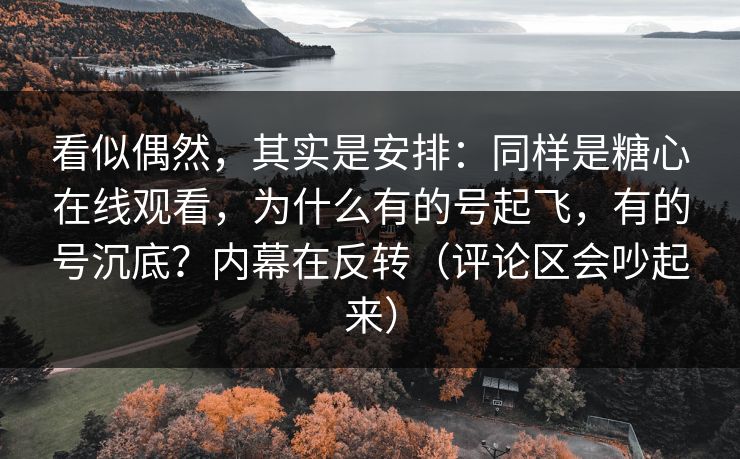 看似偶然,其实是安排:同样是糖心在线观看,为什么有的号起飞,有的号沉底?内幕在反转(评论区会吵起来) 看似偶然,其实是安排:同样是糖心在线观看,为什么有的号起飞,有的号沉底?内幕在反转(评论区会吵起来)