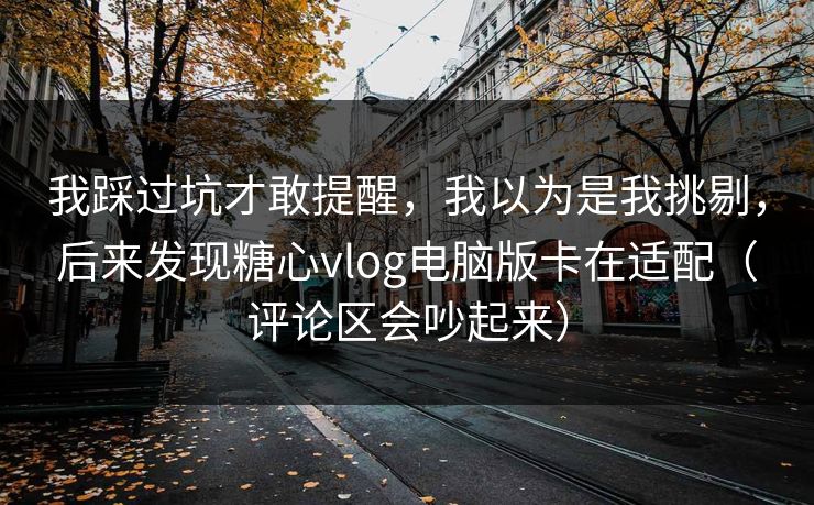 我踩过坑才敢提醒，我以为是我挑剔，后来发现糖心vlog电脑版卡在适配（评论区会吵起来）  第1张